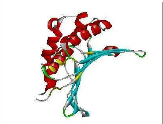 Gambar 9. Visualisasi sisi aktif protein DNA gyrase subunit B (3TTZ)  