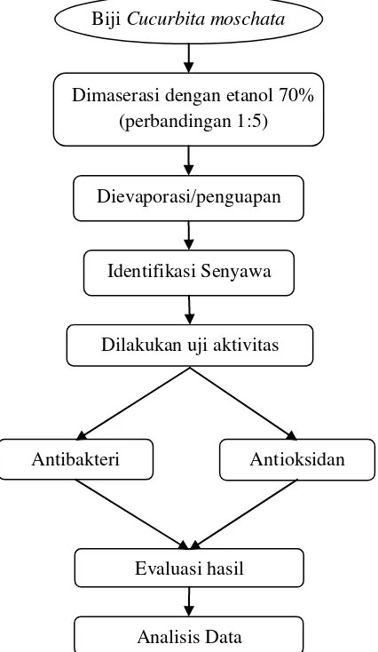 Gambar 6. Skema langkah kerja 