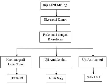 Gambar 4. Skema langkah kerja 