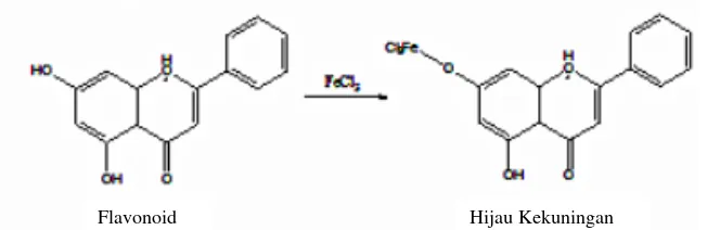Gambar 8. Reaksi flavonoid dengan pereaksi FeCl3 (Lumbanraja, 2009)