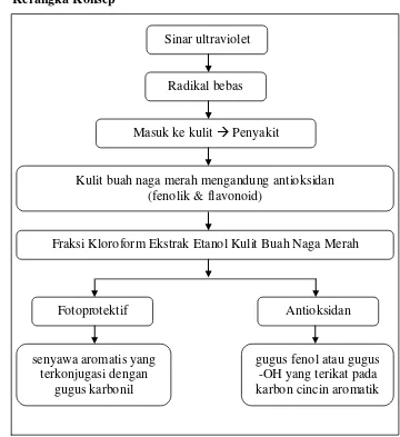 Gambar 5. Kerangka konsep 