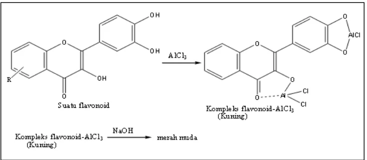 Gambar 11. Reaksi penetapan kandungan flavonoid total     dengan cara khelasi AlCl3 (Harborne, 1987)