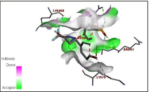 Gambar 5. Posisi Ligan Asli ketika terikat pada protein 6COX 