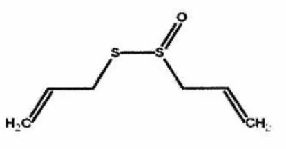 Gambar 5 Struktur kimia senyawa allicin (Ankri et al.,1999) 