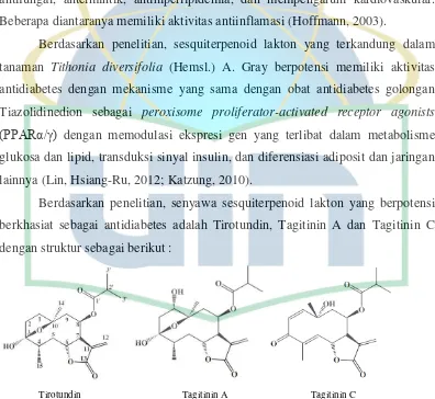 Gambar 2.5. Struktur Tirotundin, Tagitindin A, Tagitinin C (Lin, Hsiang-