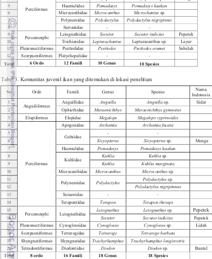 Tabel 3. Komunitas juvenil ikan yang ditemukan di lokasi penelitian  Taabeel llll l    3