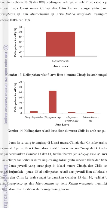 Gambar 14. Kelimpahan relatif larva ikan di muara Citiis ke arah sungai G