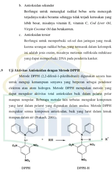 Gambar 2.2 Reduksi DPPH dari senyawa peredam radikal bebas  