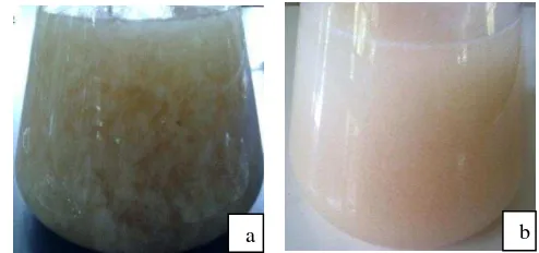 Gambar 6. Penampakan glukomanan setelah penambahan etanol 95% dengan perlakuan dua jenis 