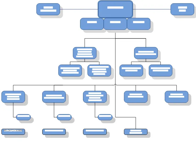 Gambar 2. Struktur Organisasi STSN 