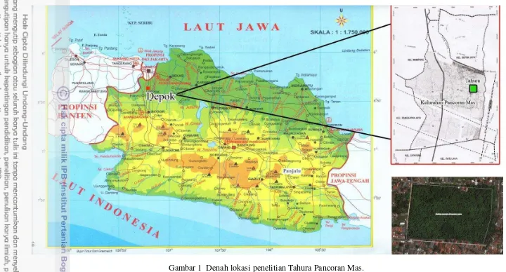 Gambar 1  Denah lokasi penelitian Tahura Pancoran Mas.            (Foto udara sumber: www.wikimapia.org)