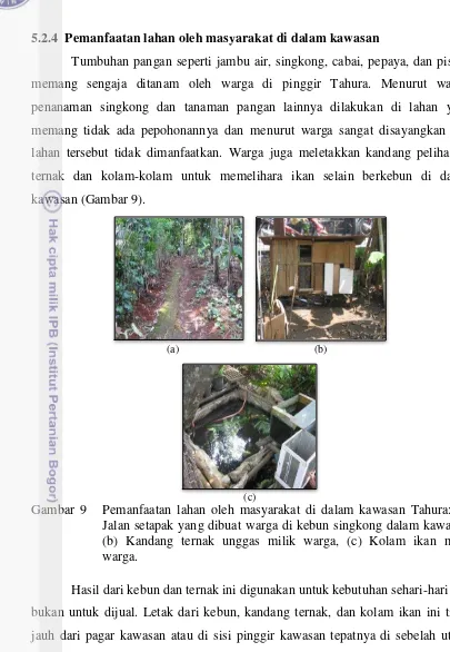 Gambar 9   Pemanfaatan lahan oleh masyarakat di dalam kawasan Tahura: (a) 