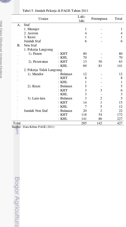 Tabel 5. Jumlah Pekerja di PAGE Tahun 2011 