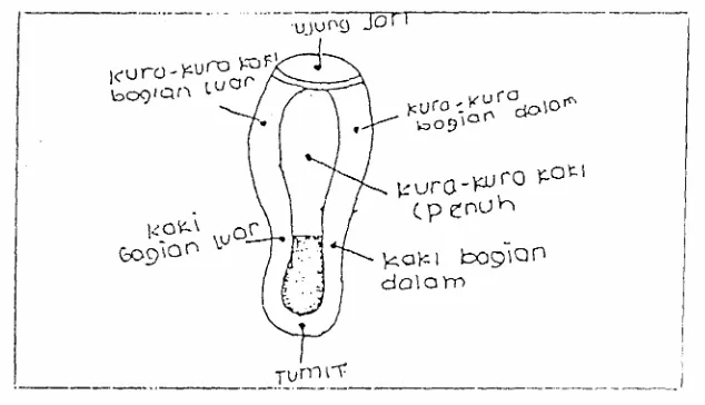 Gambar 1 Bagian perkenaan kaki pada bola 