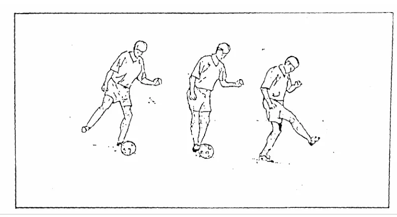 Gambar 2 Menendang dengan kaki bagian dalam (Sucipto,dkk,2000: 1 8) 