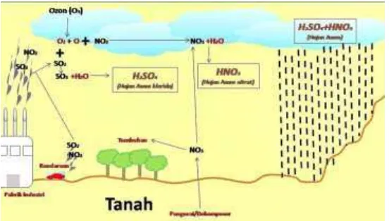 Gambar 2.1. Proses terjadinya Hujam Asam 