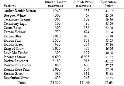 Tabel 1. Data Penanaman Lisianthus Selama Empat Bulan (Agustus-Desember 2009) 