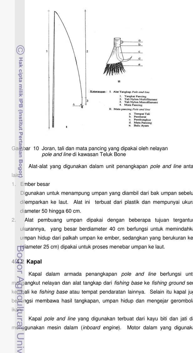 Gambar  10  Joran, tali dan mata pancing yang dipakai oleh nelayan                         pole and line di kawasan Teluk Bone 