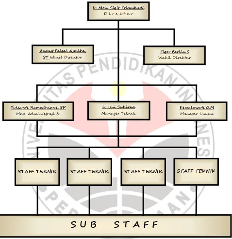 Gambar 3.1  Diagram Struktur Organisasi Perusahaan 