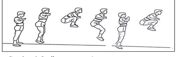 Gambar 9. Latihan Knee Tuck Jump Sumber : James C. Radcliffe dan R.C Farentinus (2002: 41) 