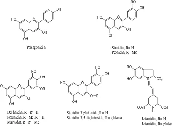 Gambar 2.1. Struktur antosianin dan betasianin (Harborne, 1987: 76) 