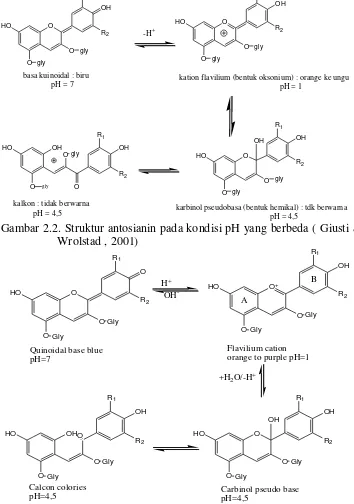 Gambar 2.3. Perubahan struktur antosianin akibat penambahan buffer pH (Sumber: Lee, et al, 2005) 
