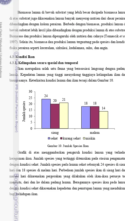 Gambar 10. Jumlah Spesies Ikan  