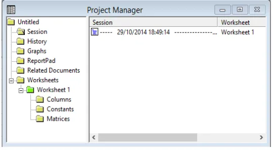 Gambar 2.5 Project Manager 