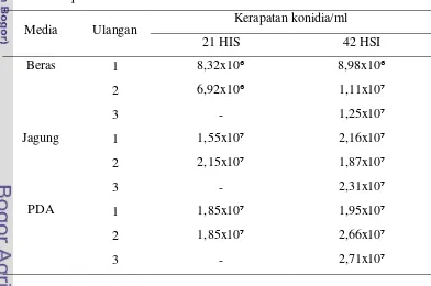 Tabel 1  Kerapatan konidia L. lecanii umur biakan 21 dan 42 hari setelah inkubasi  