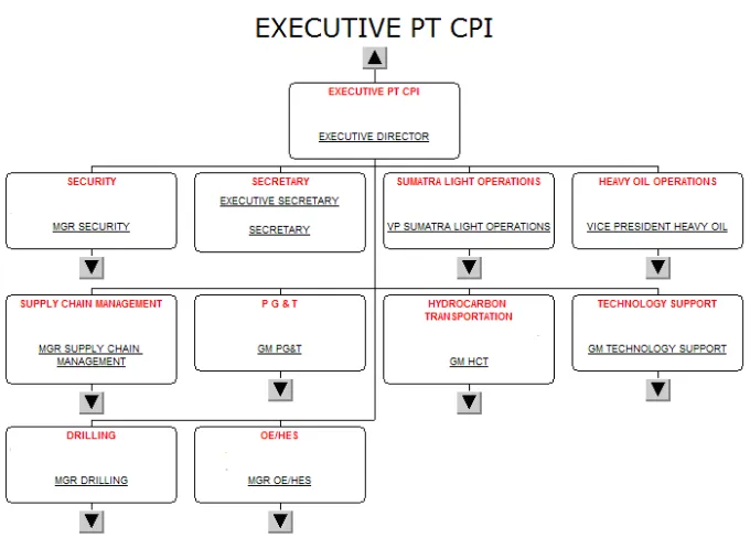 Gambar  Skema struktur organisasi PT. CPI 