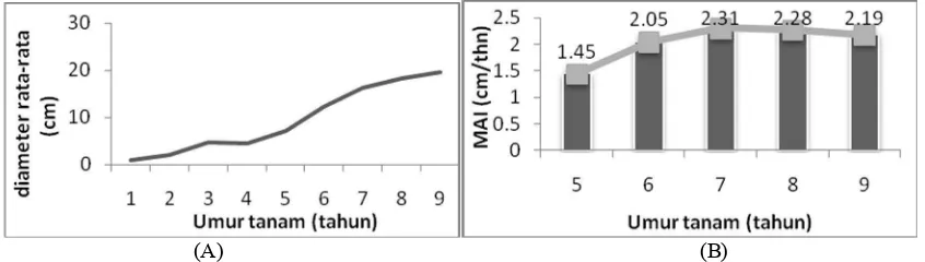 Gambar 1. Kurva pertumbuhan  diameter S. Leprosula. Ket: (A)  Kurva pertumbuhan S.leprosula umur 1-9 tahun; dan (B) Grafik riap diameter rata-rata tahun berjalan(MAI) S