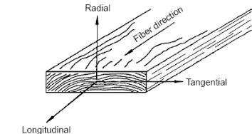 Gambar 1.  Sumbu utama material ( Wood Handbook, 1999) 