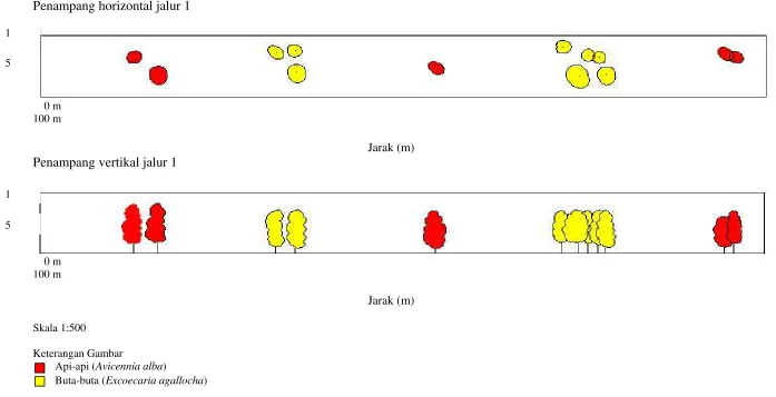 Gambar 4. Sebaran dan profil vegetasi secara vertikal dan horizontal pada jalur 1 