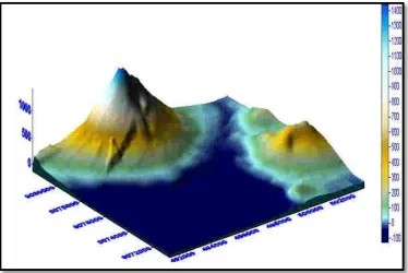 Gambar 3. Visualisasi Morfologi 3D daerah Selat Larantuka dari arah barat daya 