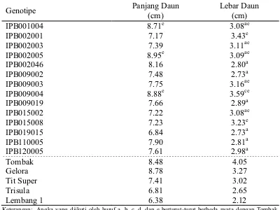 Tabel 4. Nilai Rataan Panjang Daun dan Lebar Daun Galur yang Diuji dan Varietas Pembanding