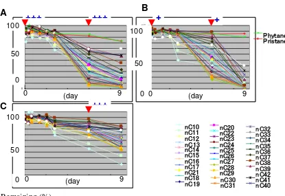 Figure 8.  GC-MS analysis for degradation of ALKANE by microbial community on 0-90 days (by Masahito Suzuki)  