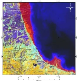 Gambar 6. Daerah genangan di dataran rendah pesisir Cirebon berdasarkan prediksi  kenaikan muka laut hingga 0,8 meter 