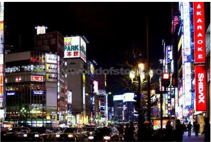 Gambar 1.3 kepadatan kota pada malam hari,  sumber (www.danheller.com)