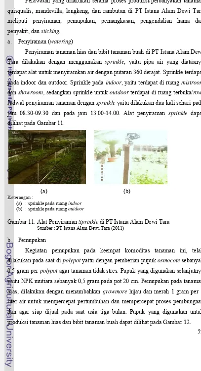 Gambar 11. Alat Penyiraman Sprinkle di PT Istana Alam Dewi Tara 
