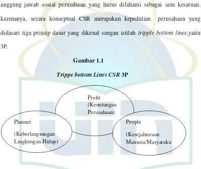   Gambar 1.1                          Trippe bottom Lines CSR 3P 
