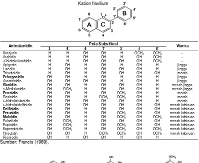 Gambar 2.2  Antosianidin yang umum ada di bahan pangan (Brouillard 1982). 
