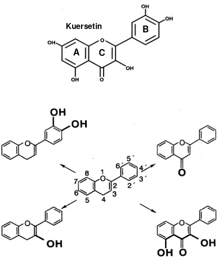 Gambar 2.10  Struktur dasar utama yang berhubungan dengan aktivitas                                antioksidan flavonoid (Bravo 1998)