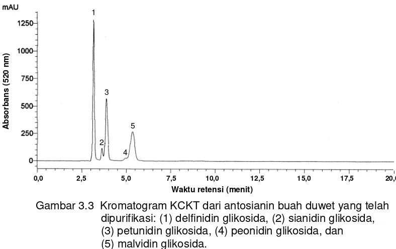 Gambar 3.3  Kromatogram KCKT dari antosianin buah duwet yang telah 