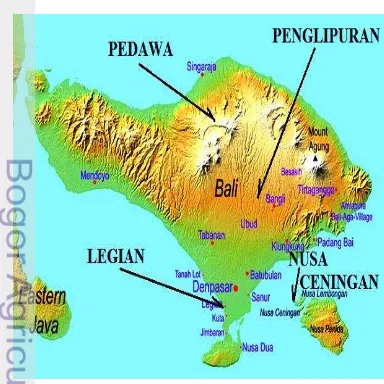 Gambar 3 Letak empat desa terpilih di Bali Pedawa dan Penglipuran berada di dataran tinggi, sedangkan Legian dan Nusa Ceningan berada di pesisir pantai