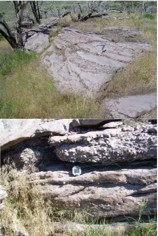 Gambar 14. Gambar dari interbedded braided fluvial sandstone dan konglomerat 