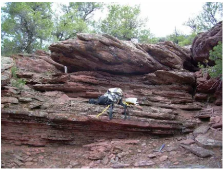 Gambar 18. Foto dari energy lemah braided fluvial sandstone (FA4) dalam pembentukan formasi Outlaw Trail.Palu (sebelah kanan bawah) memiliki panjang 30cm