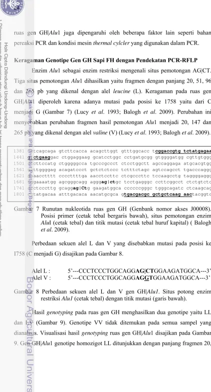 Gambar 7 Runutan nukleotida ruas gen GH (Genbank nomor akses J00008). 