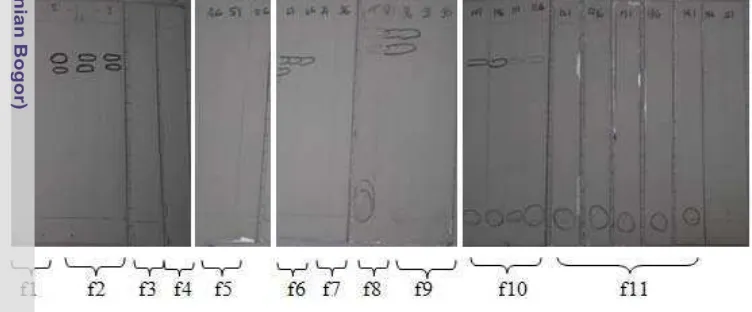 Gambar 5 Profil kromatogram hasil fraksinasi minyak atsiri kencur. 