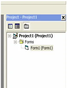 Gambar 2. Tampilan Form Pada Visual Basic 6.0 