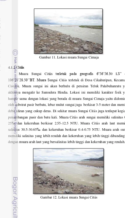 Gambar 11. Lokasi muara Sungai Cimaja 